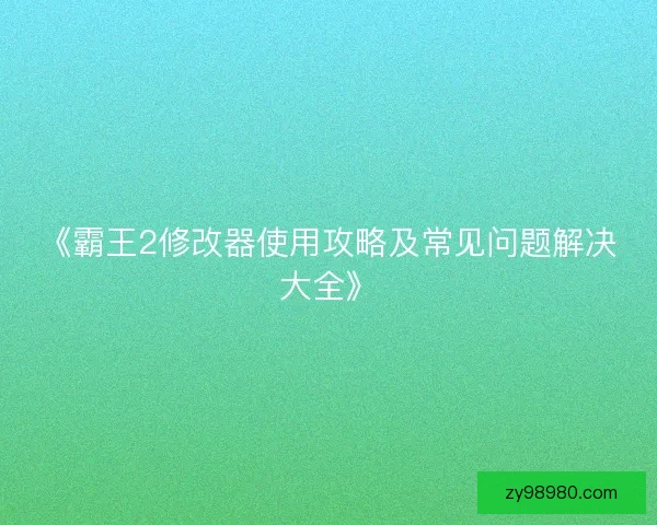 《霸王2修改器使用攻略及常见问题解决大全》
