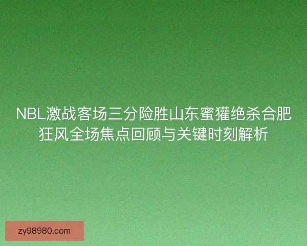NBL激战客场三分险胜山东蜜獾绝杀合肥狂风全场焦点回顾与关键时刻解析