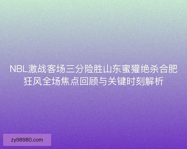 NBL激战客场三分险胜山东蜜獾绝杀合肥狂风全场焦点回顾与关键时刻解析