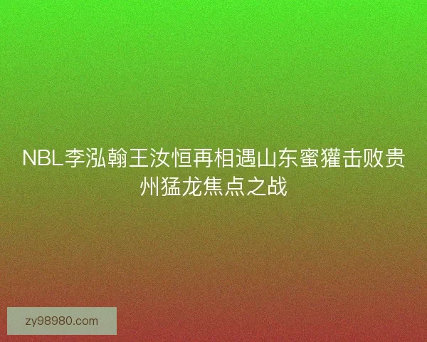 NBL李泓翰王汝恒再相遇山东蜜獾击败贵州猛龙焦点之战