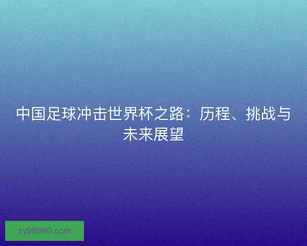 中国足球冲击世界杯之路：历程、挑战与未来展望